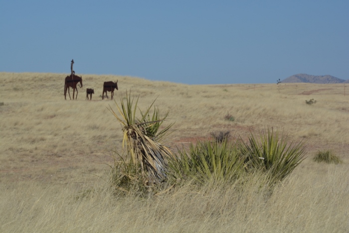 Highway 83 and winter wheat fields